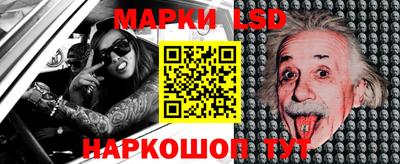 молекула духа Камышлов