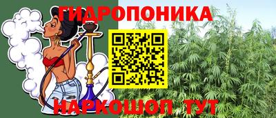 молекула духа Камышлов