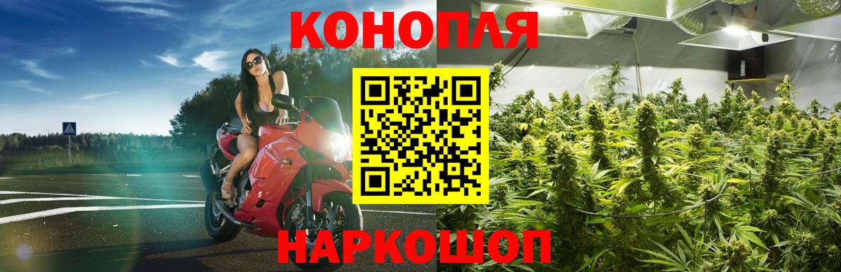 Бошки марихуана планчик Куйбышев